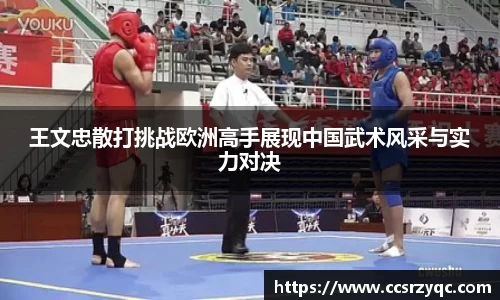 王文忠散打挑战欧洲高手展现中国武术风采与实力对决