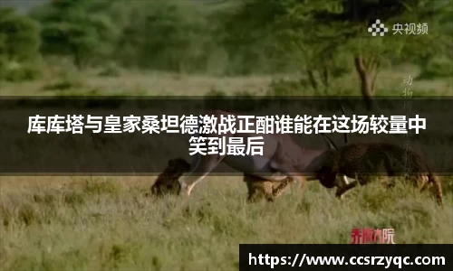 jn江南