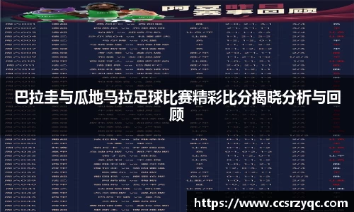 JN体育