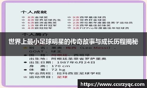 jn江南·体育登录入口